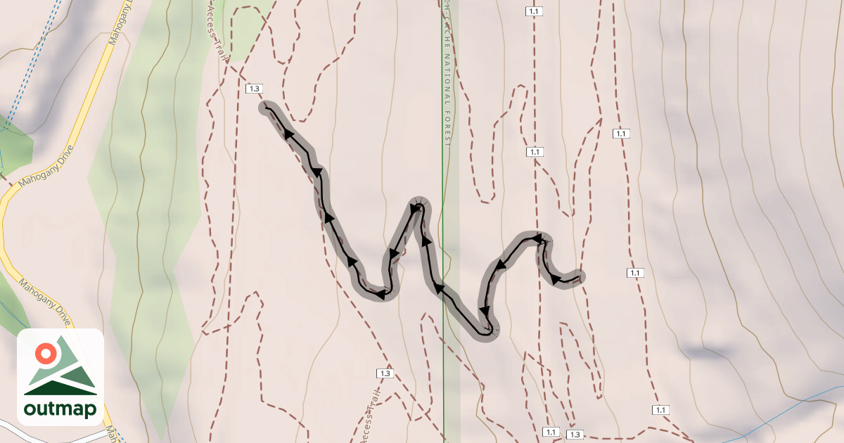 Map of Fruit Flow Expert Trail