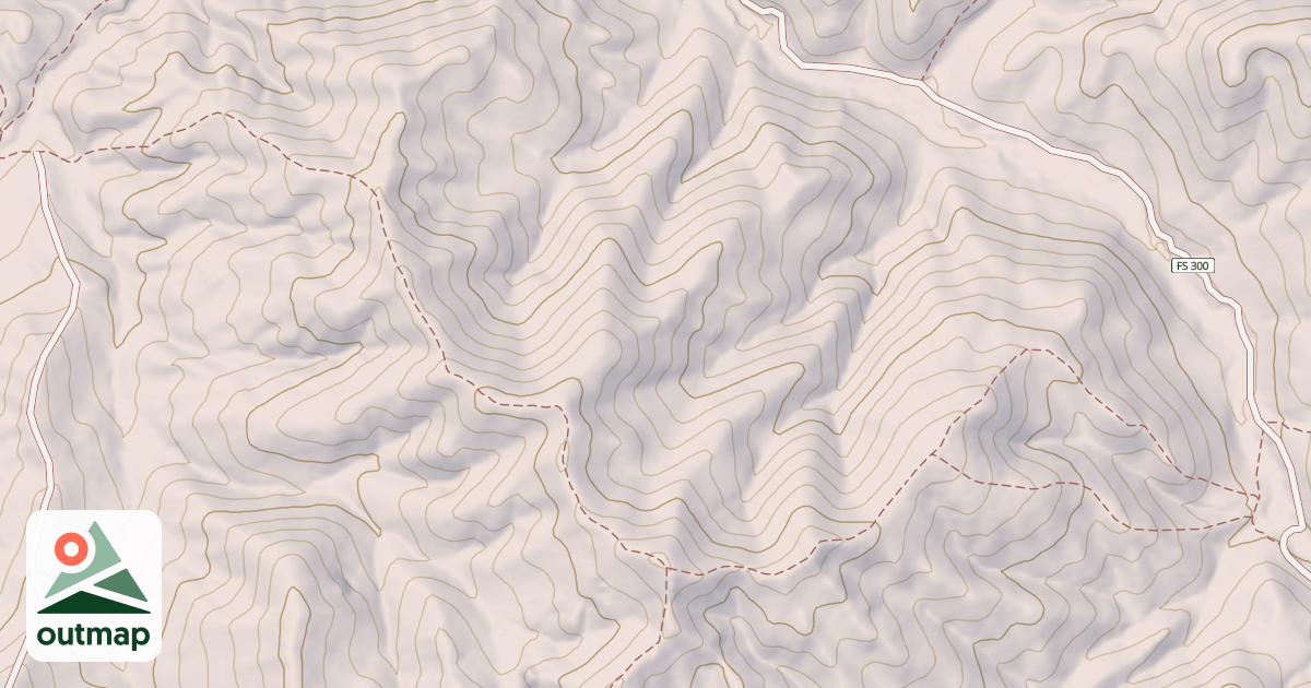 Map of DANSKIN #532