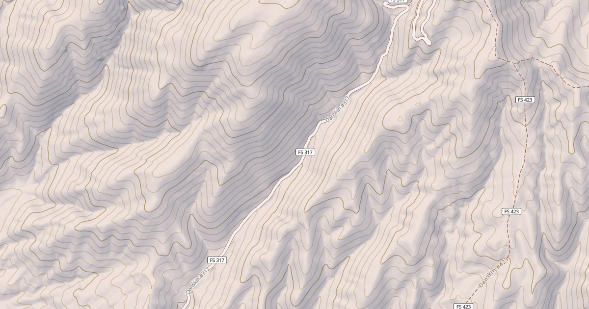 Map preview of Danskin #317