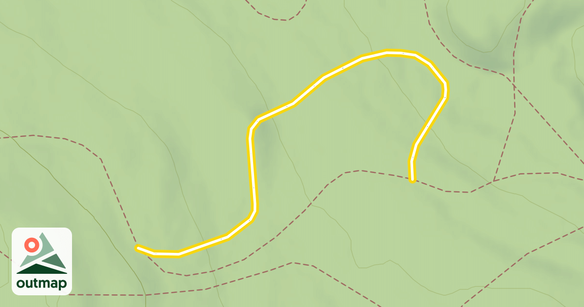 Map of Race