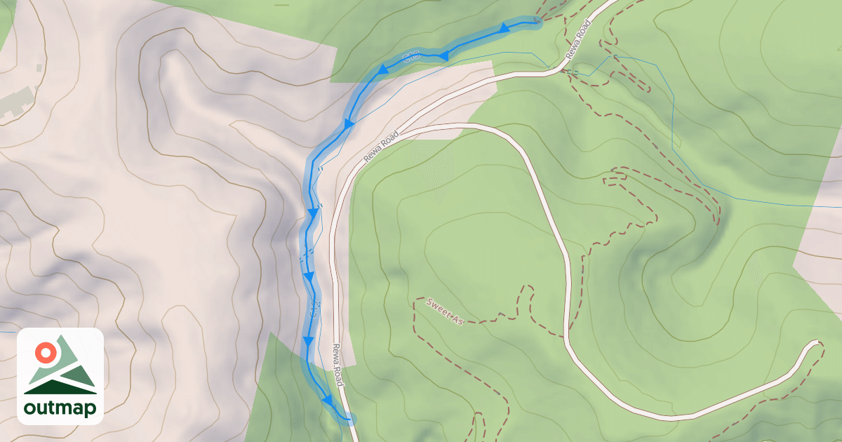 Map of C19