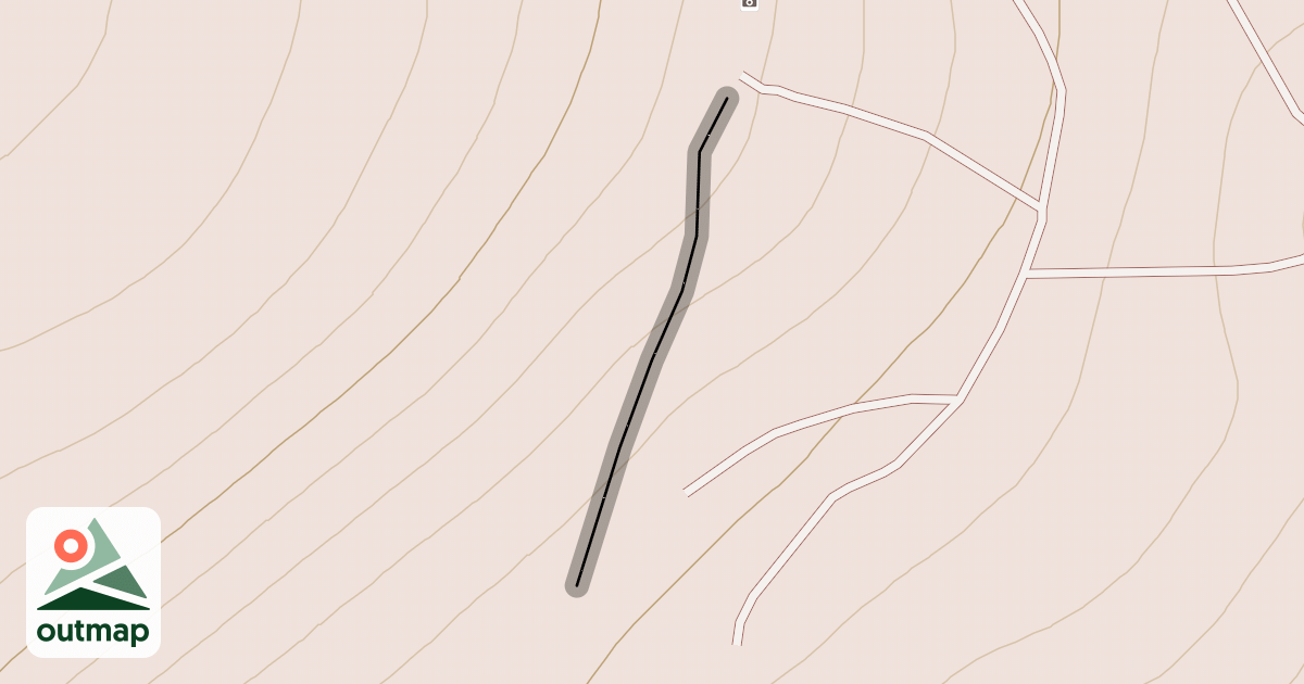 Map of 19 - Face