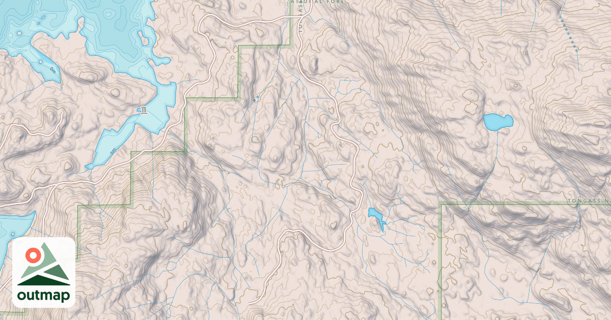 Map of USFS National Forest System Roads {AA5C4862-596E-420B-8E57-35C7E42F6C58}