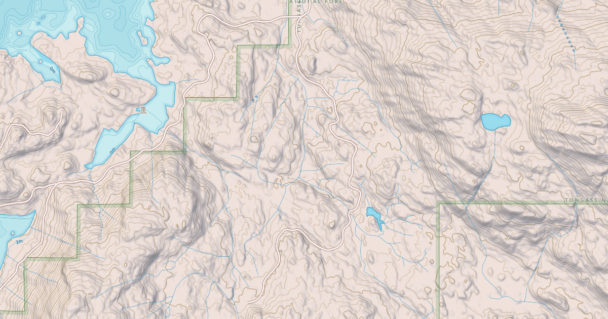 Map preview of USFS National Forest System Roads {AA5C4862-596E-420B-8E57-35C7E42F6C58}