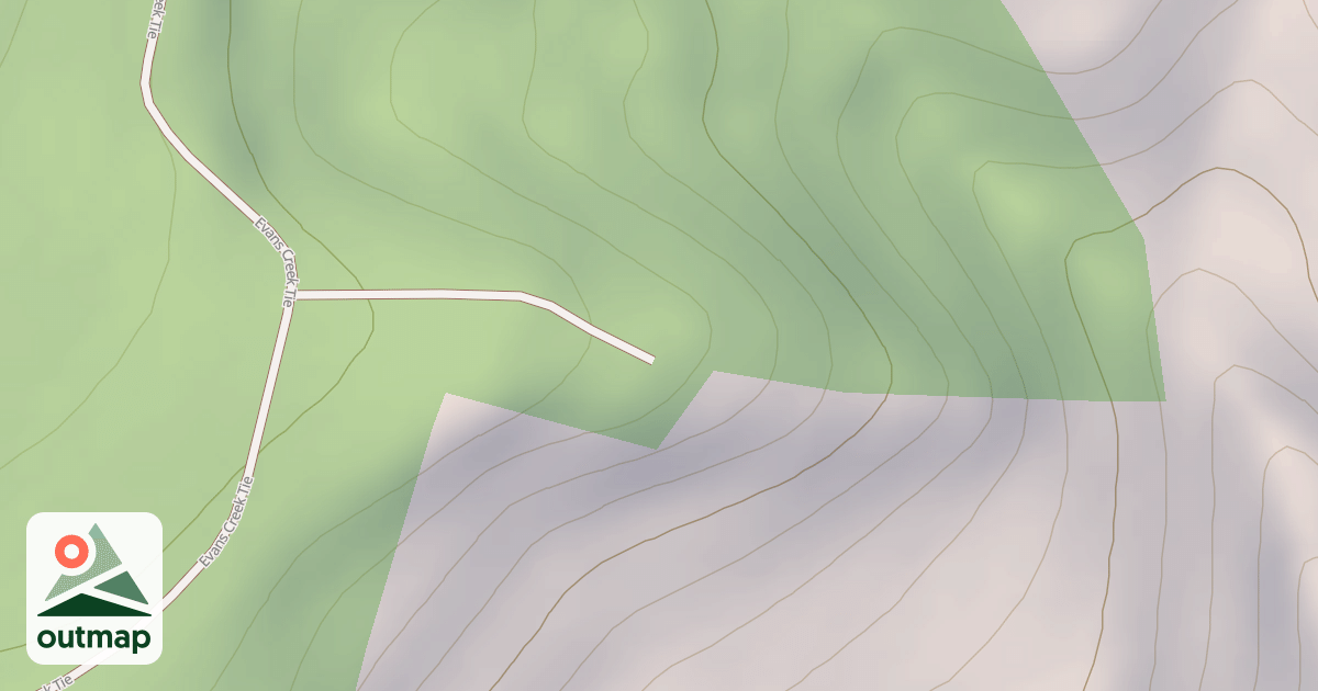 Map of SNOWSHOE T.S.