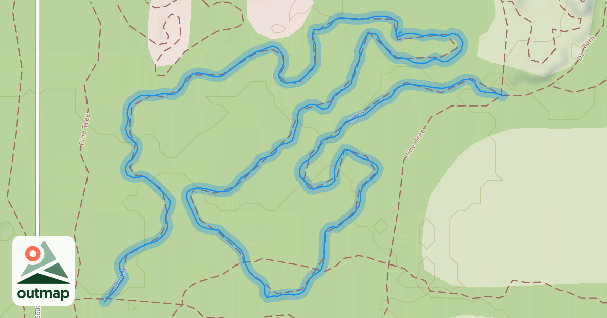 Map of Bunny