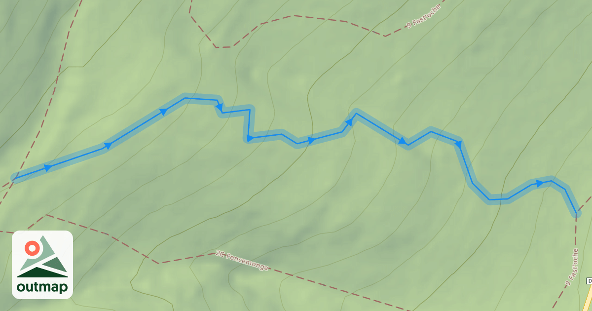 Map of 3C Camomille