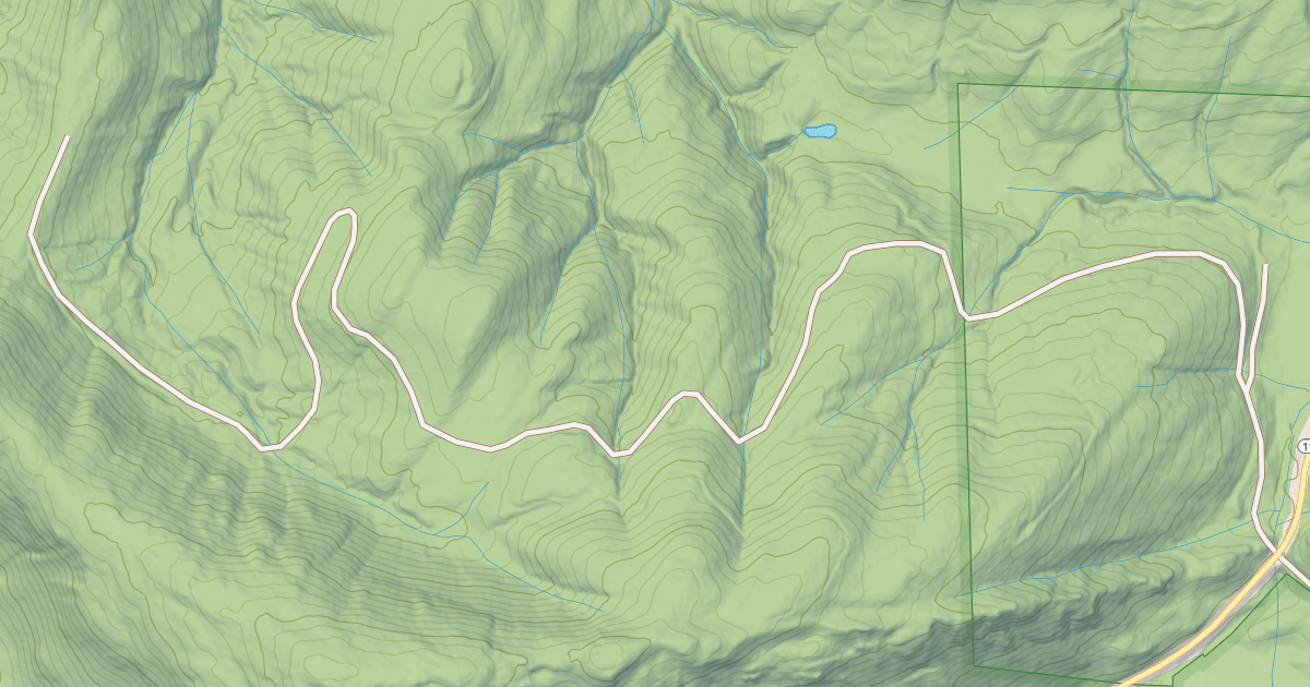 Map preview of USFS National Forest System Roads {BCEB7C7A-C165-4BC2-A5BE-A47B80DC8818}