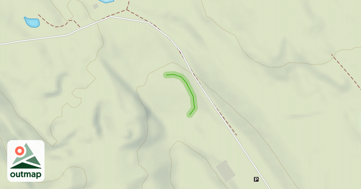 Map of Bunny Hill