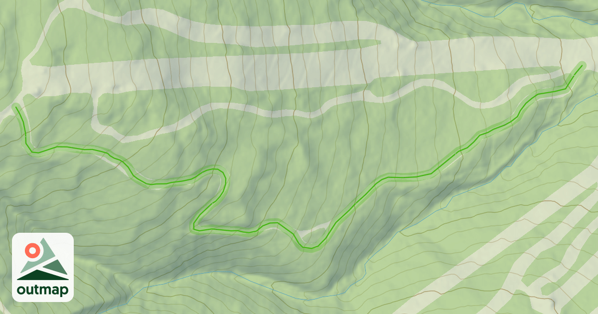 Map of Walt's Trail