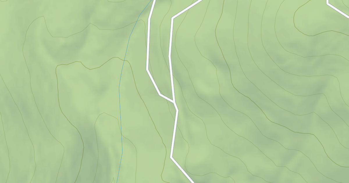 Map preview of FOUR TREES