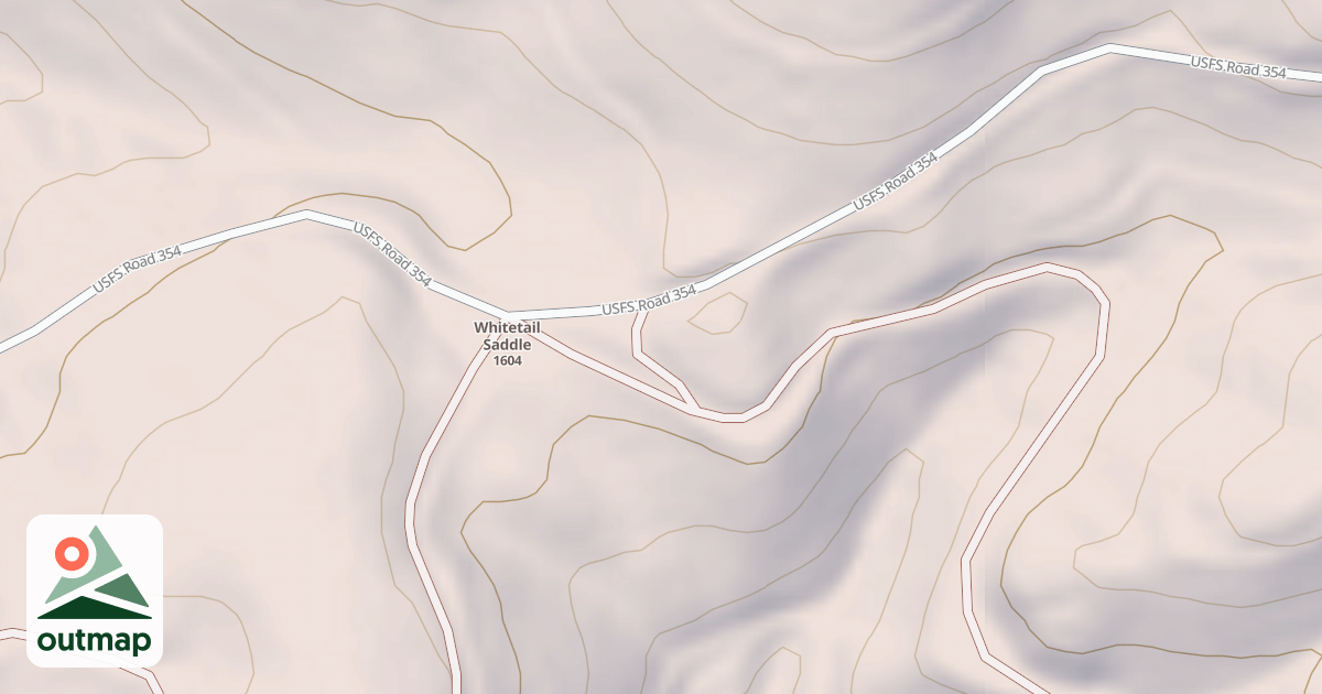 Map of USFS National Forest System Roads {399DEAF0-5926-45C6-9D76-6D5CE4253731}