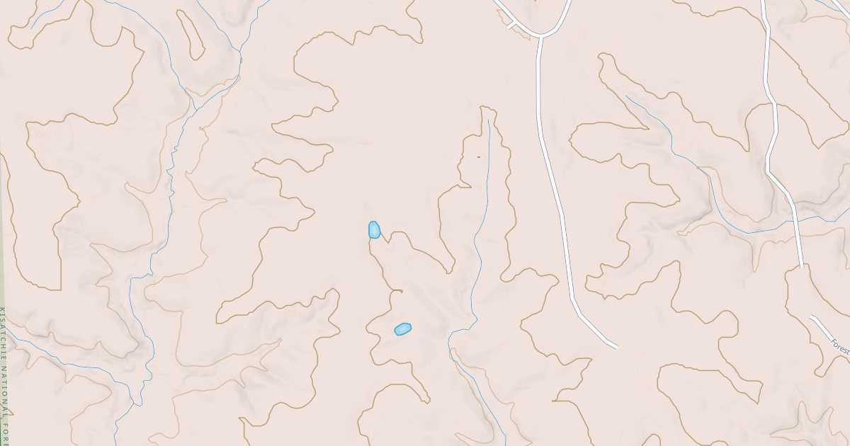Map preview of TIGER BRANCH