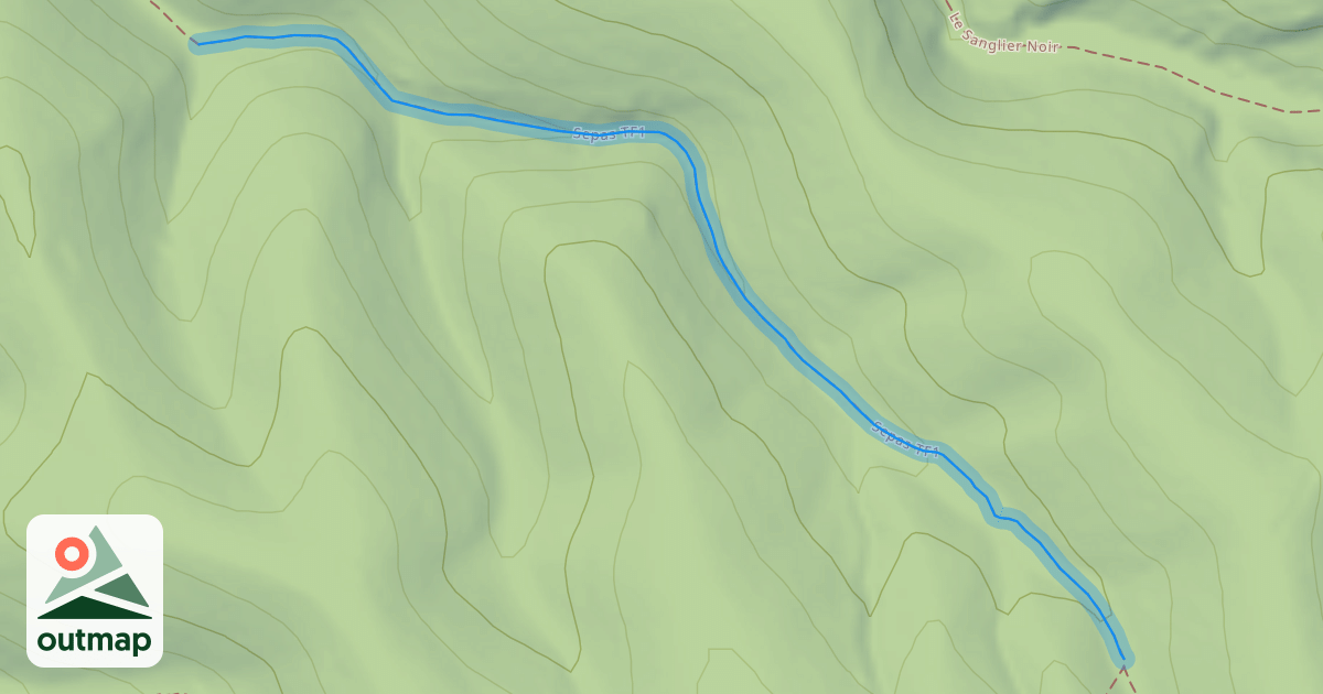 Map of Sepas TF1