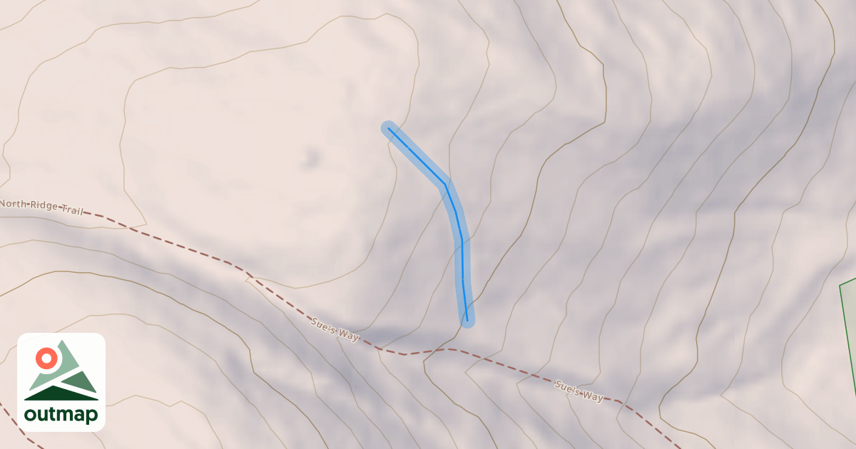 Map of Chicken