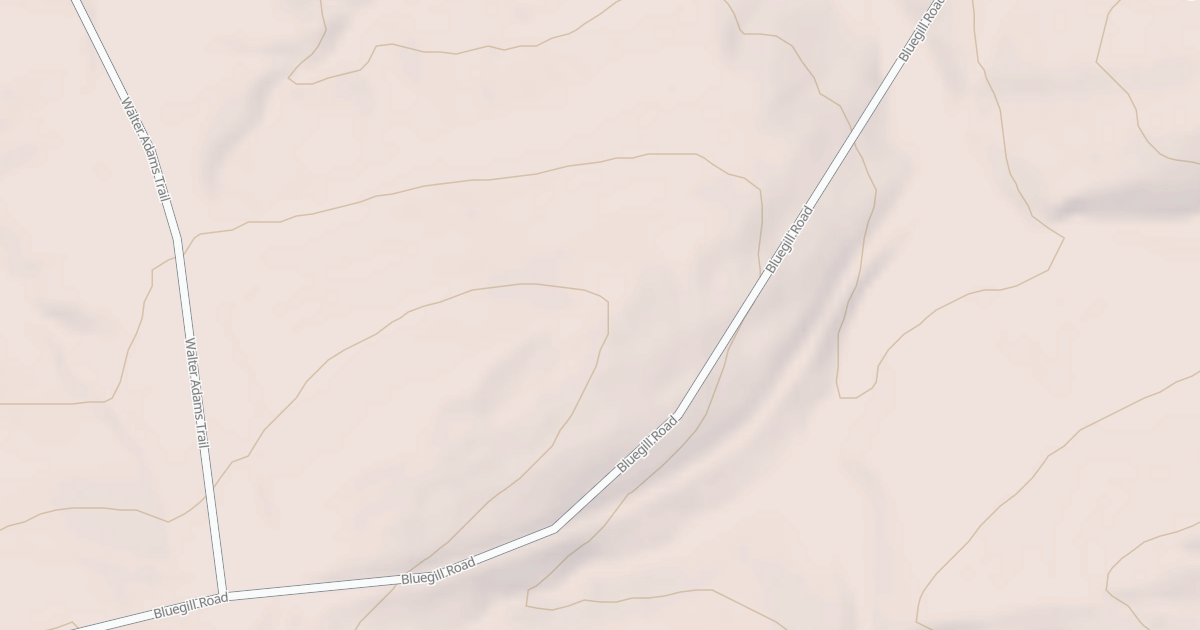Map preview of USFS National Forest System Roads {FEF2B99F-9FB3-4827-B4E9-93FDD73905F9}