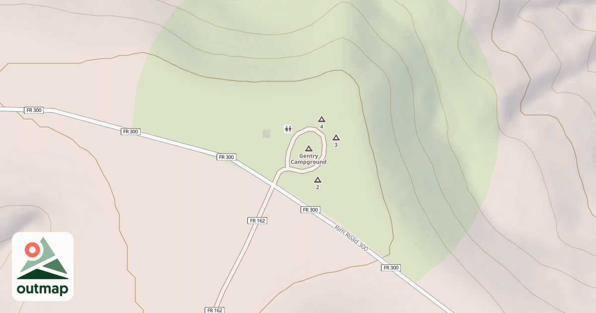 Map of USFS National Forest System Roads {4FD0EB93-E4B1-450C-BAF8-3E180C3394FA}