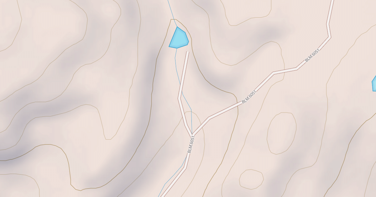 Map preview of BLM National GTLF Public Motorized Roads 24d99e53-5b24-4758-97eb-be21ce8d81a0