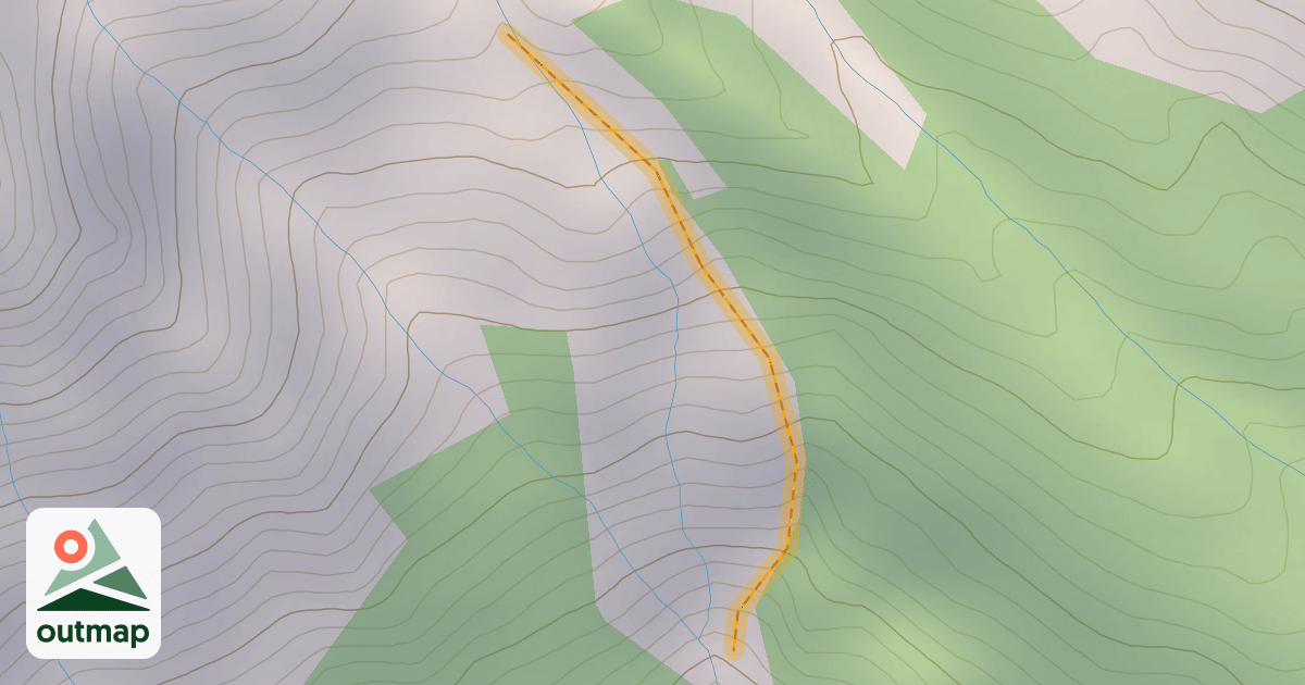 Map of Bird Chute