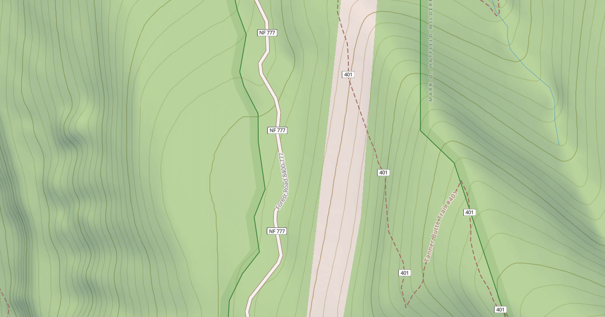 Map preview of USFS National Forest System Roads {16CE609F-9C98-4E93-9743-E037DCB4B695}