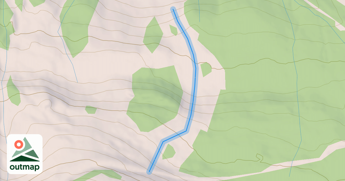 Map of Snag Park