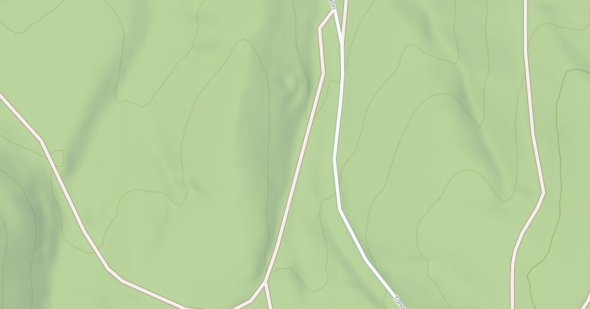 Map preview of BLM National GTLF Public Motorized Roads 40728f13-a8fe-4484-a820-920800023e16