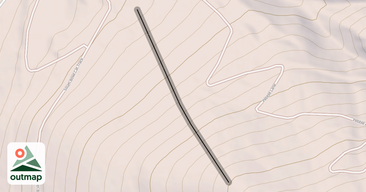 Map of The Face