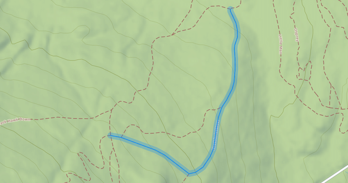 Map preview of Electric Lettuce
