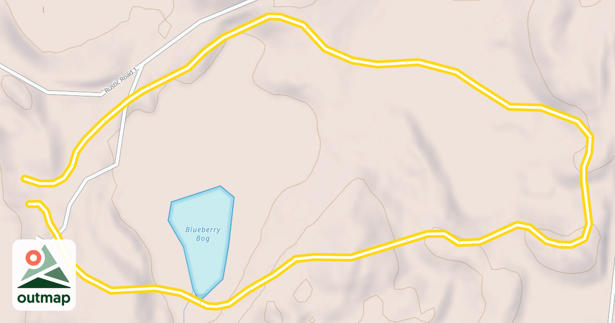 Map of Roller Coaster