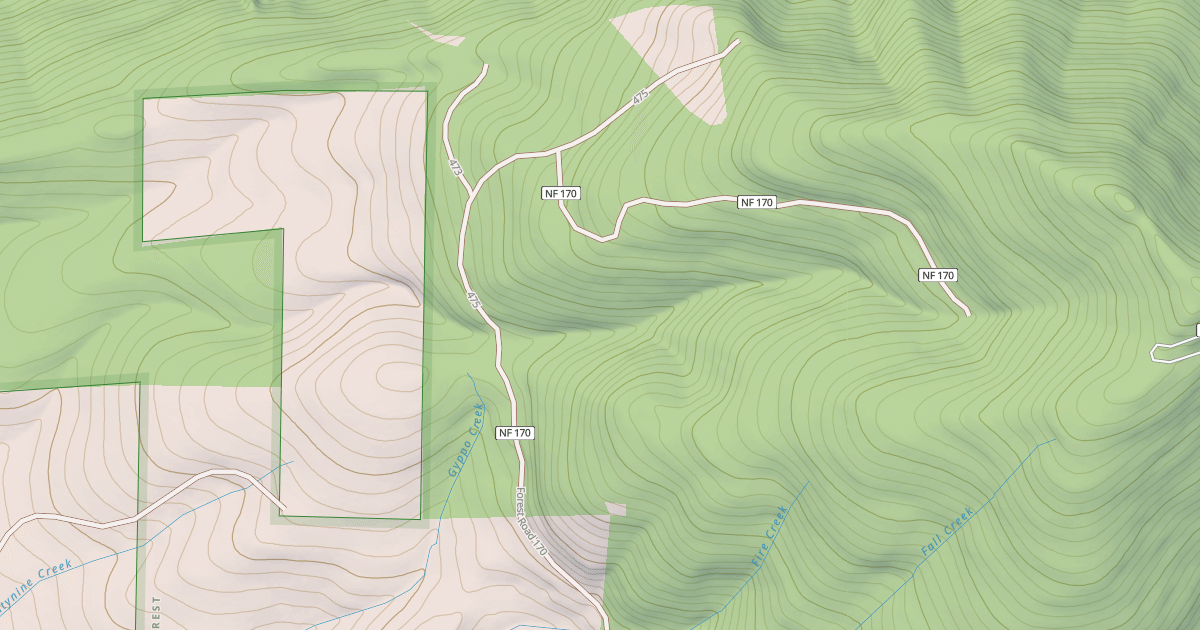 Map preview of USFS Motor Vehicle Use Map Roads {02AD7C9F-C0DF-45F0-9E69-0FC2537BE1D9}