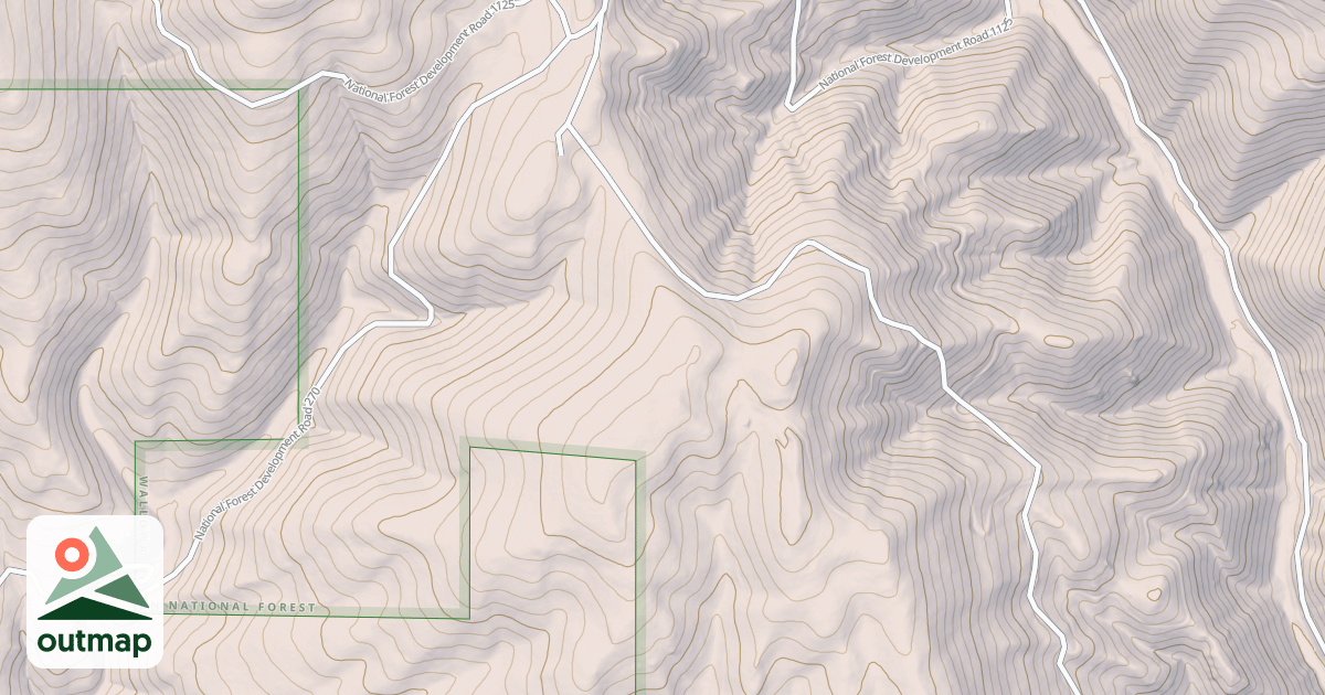 Map of USFS National Forest System Roads {3F3CDA61-E348-4E4B-B158-2E49A3CB2AF2}