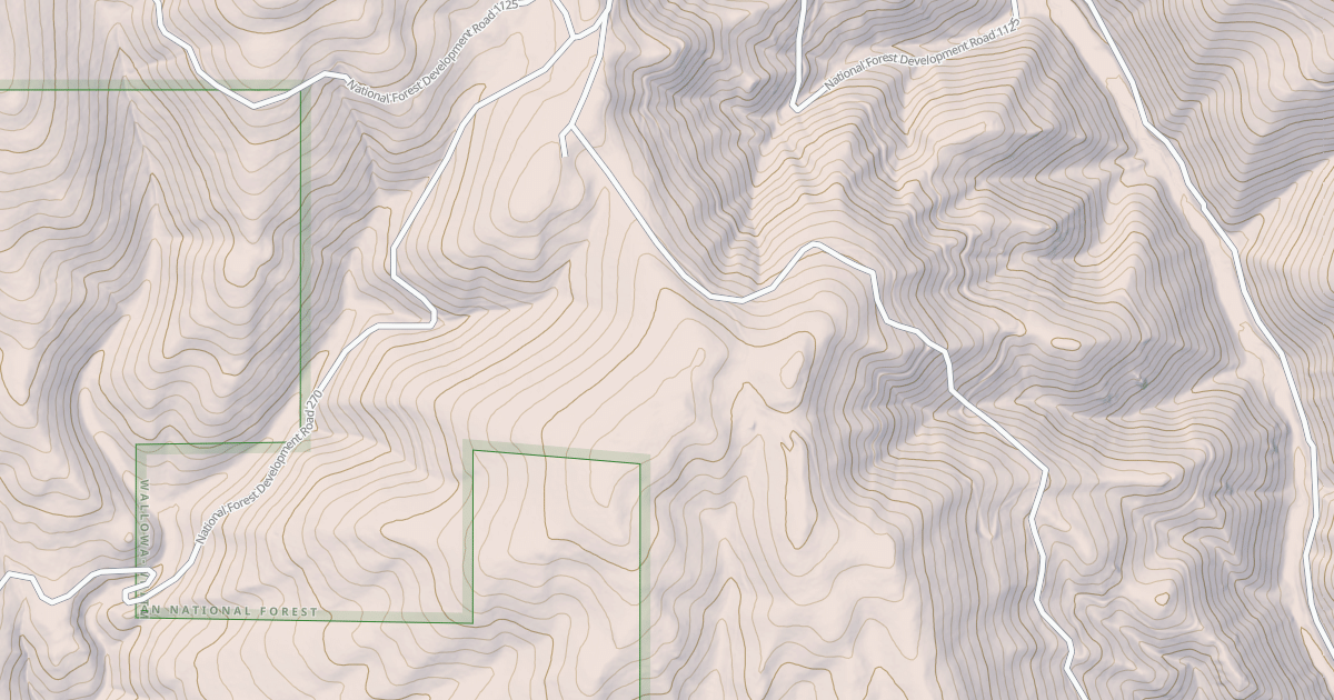 Map preview of USFS National Forest System Roads {3F3CDA61-E348-4E4B-B158-2E49A3CB2AF2}