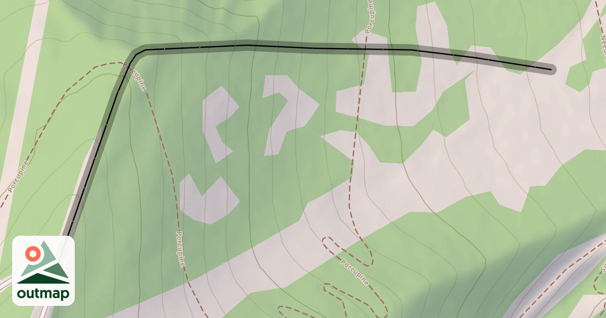 Map of Dwayne's