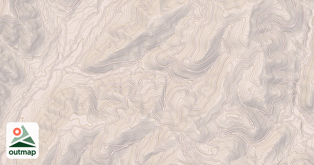 Map of CHIEF
