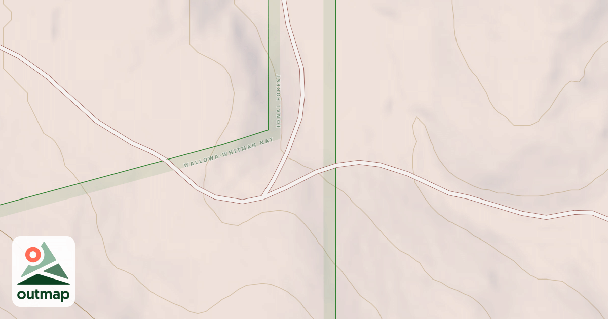 Map of USFS National Forest System Roads {22A8120C-DE10-4BFE-B65F-65041C9FDE1E}