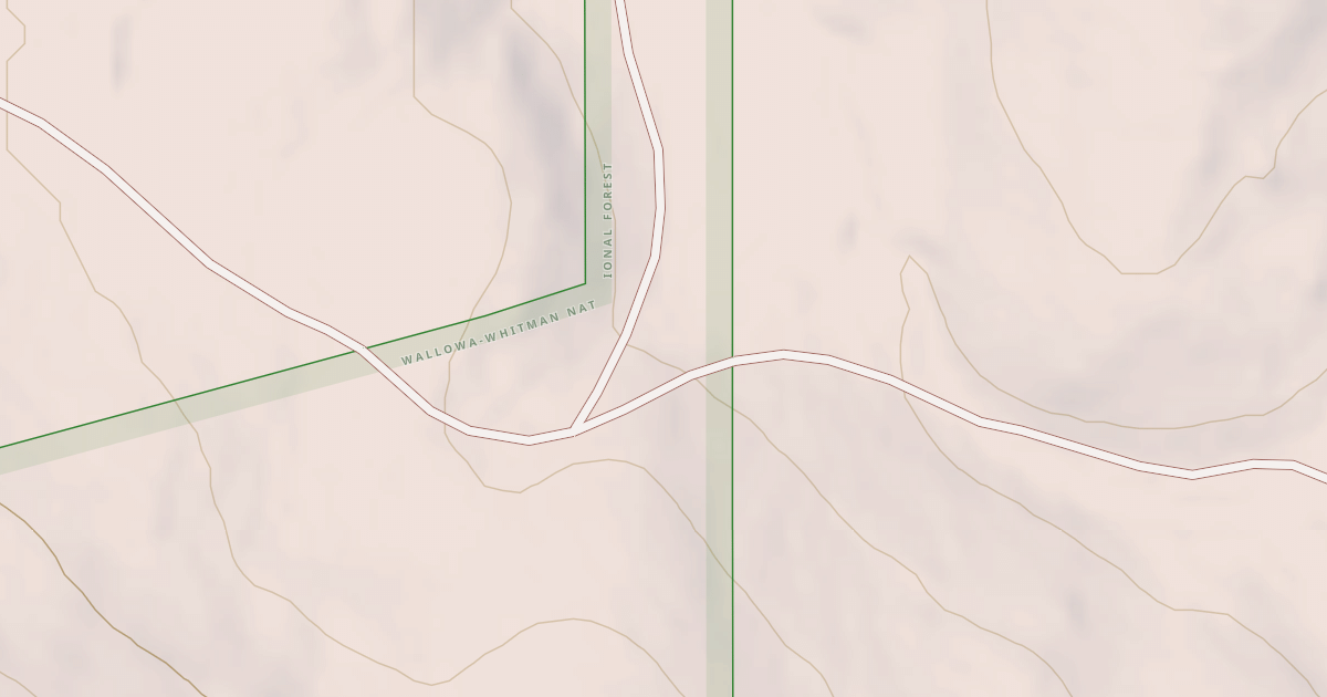 Map preview of USFS National Forest System Roads {22A8120C-DE10-4BFE-B65F-65041C9FDE1E}