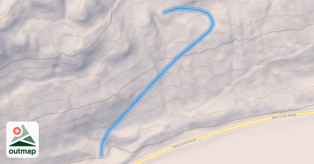 Map of Mama Bear