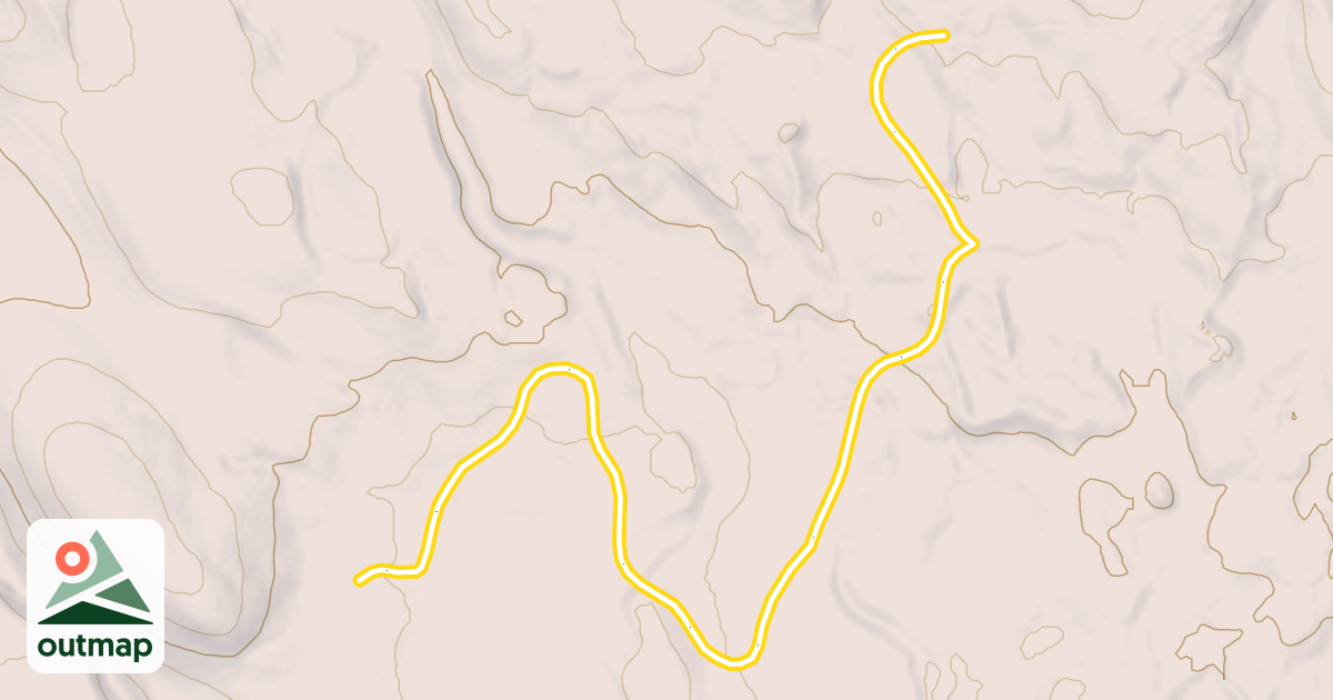 Map of Bear Tree