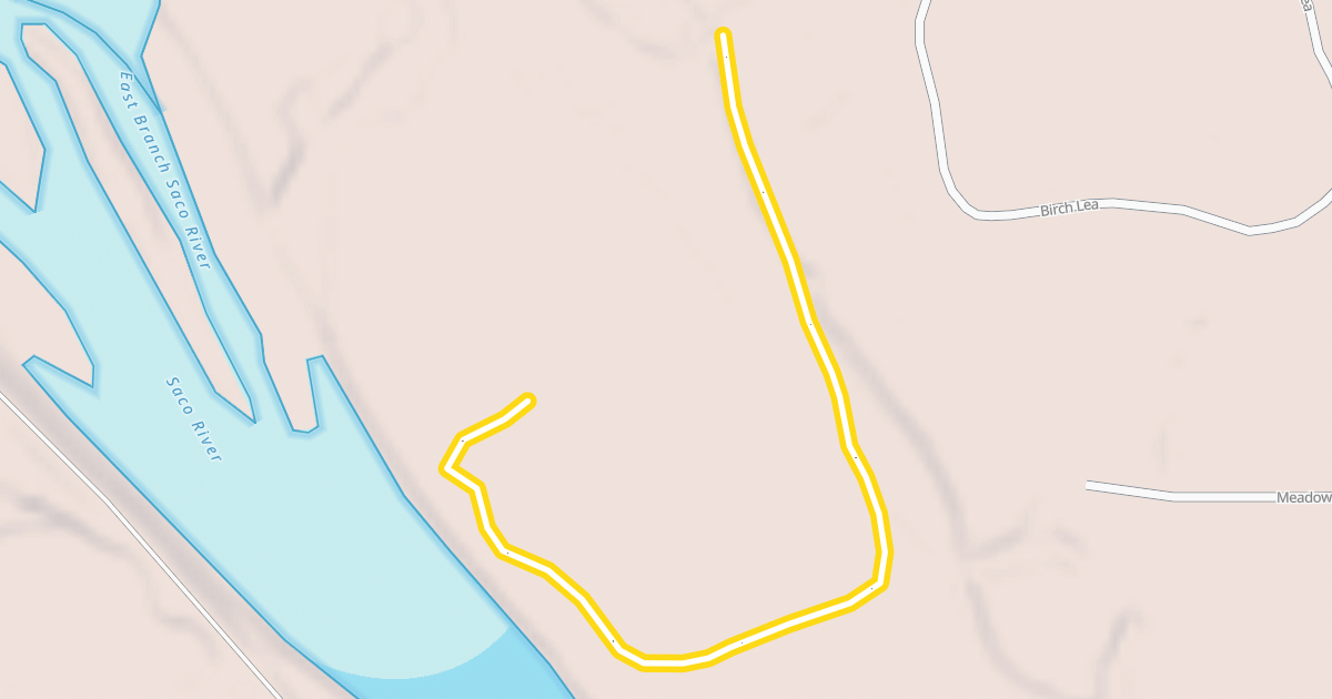 Map preview of Lower East Branch Trail