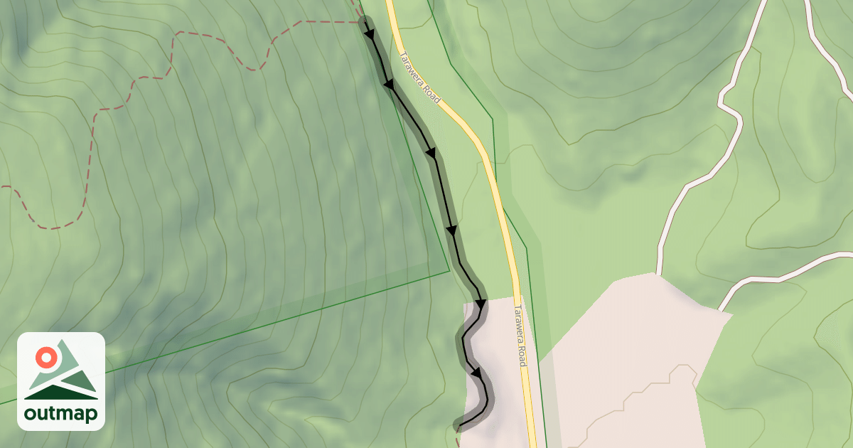 Map of Forest Loop | Feeder Grade 2