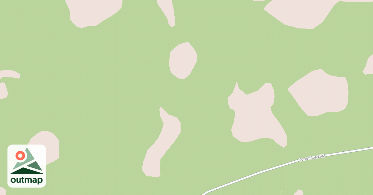 Map of USFS Motor Vehicle Use Map Roads {D01A3954-64EE-4252-B8C8-1D6C175E904E}
