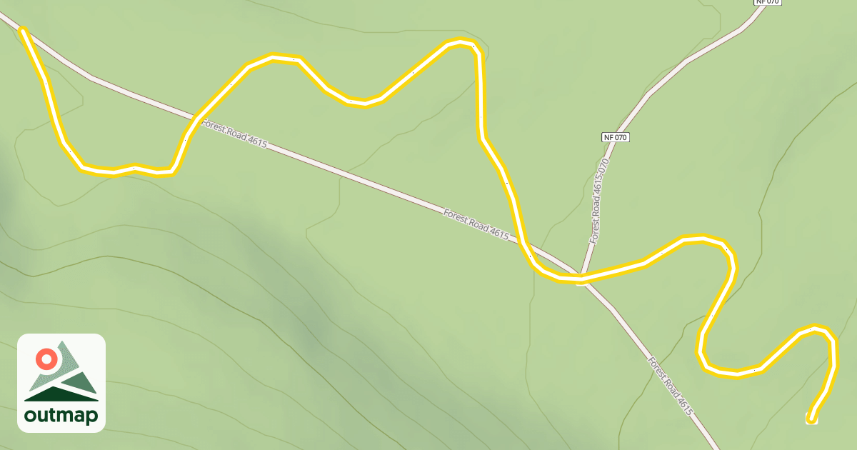 Map of Mushroom Trails