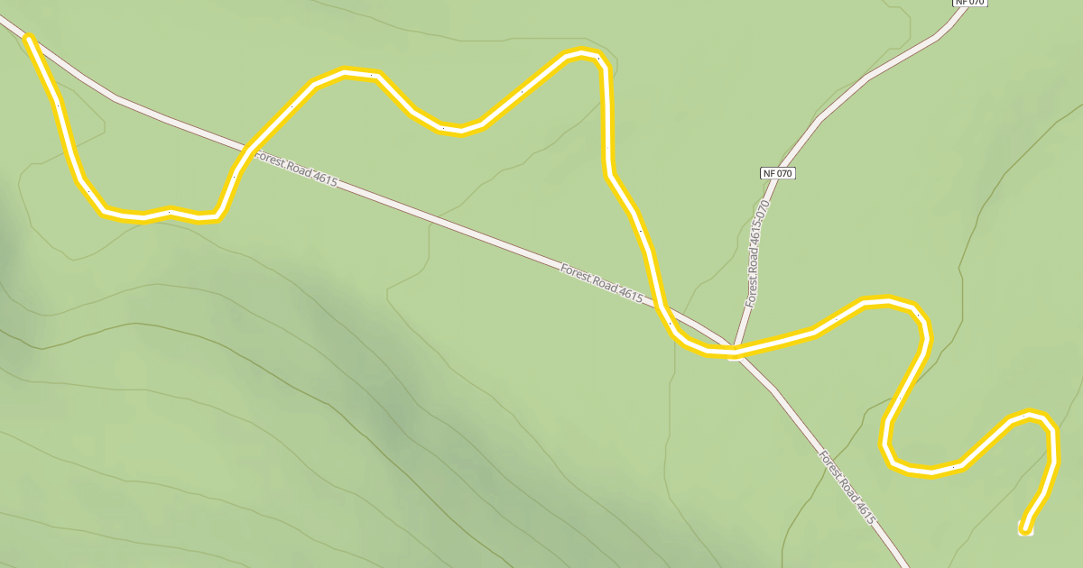 Map preview of Mushroom Trails