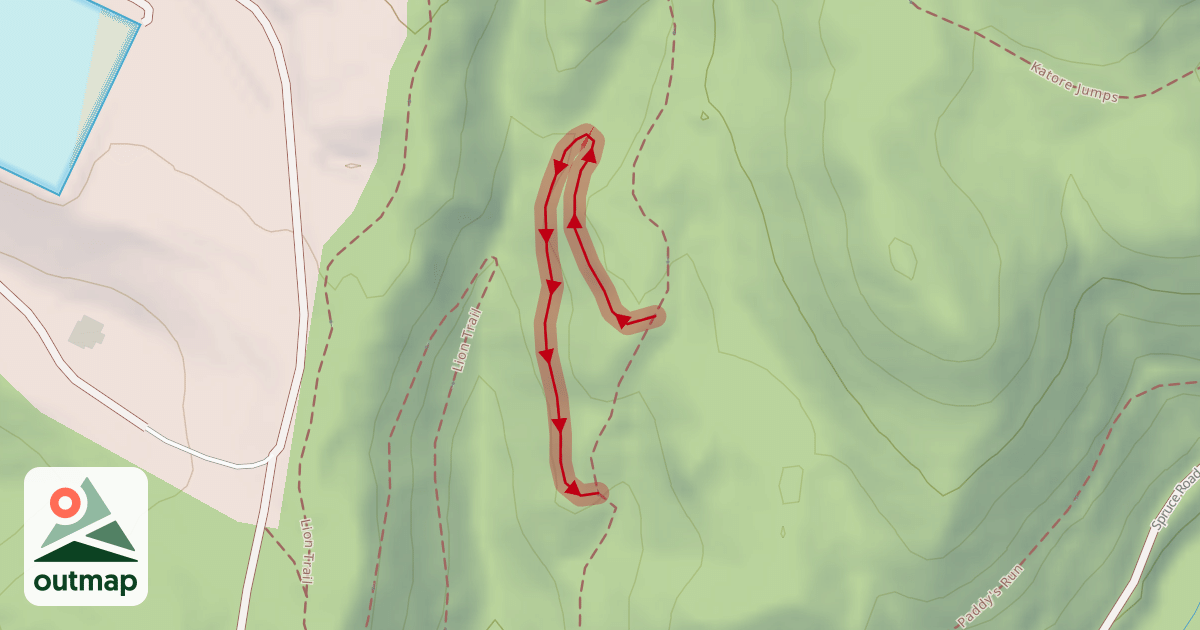 Map of Paddy's Run