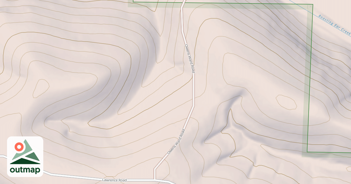 Map of USFS National Forest System Roads {C5D29B57-9102-498C-8E65-177E9DE9ADF1}