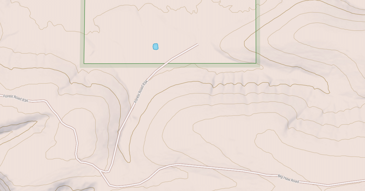 Map preview of USFS National Forest System Roads {C4F0F899-0366-4279-8B18-439944E38C59}