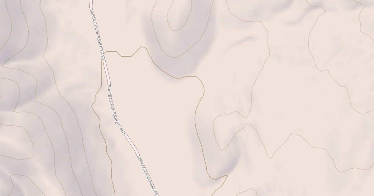 Map preview of USFS National Forest System Roads {5DE4854D-9B6D-4A8D-BE39-EABAFE41A496}