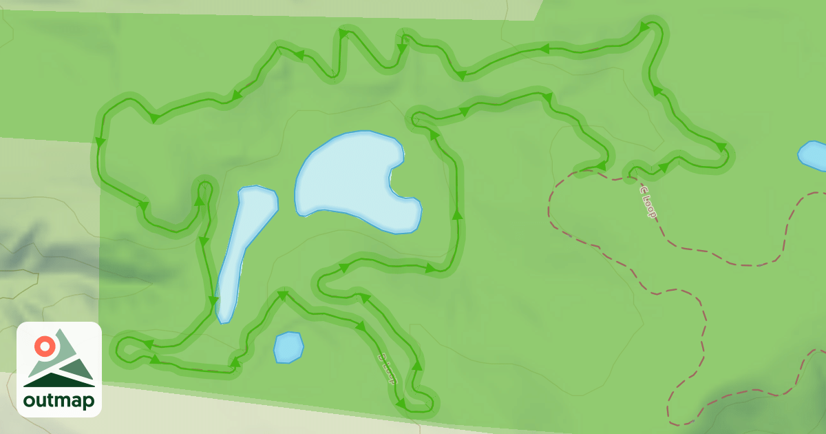 Map of D Loop