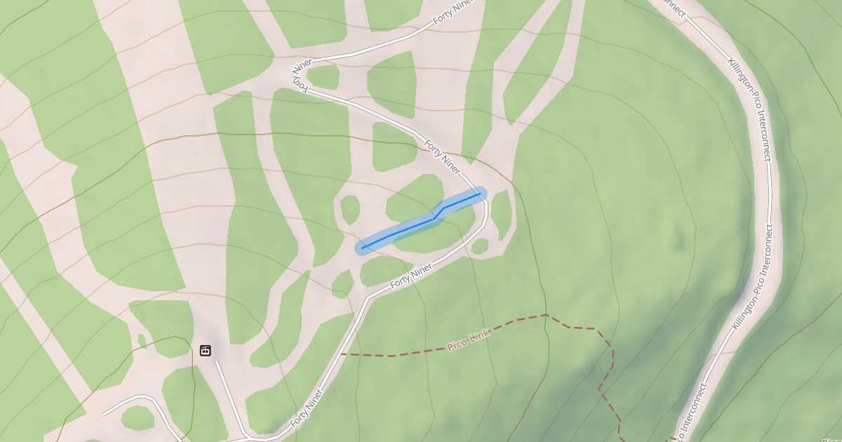 Map preview of Forty Niner