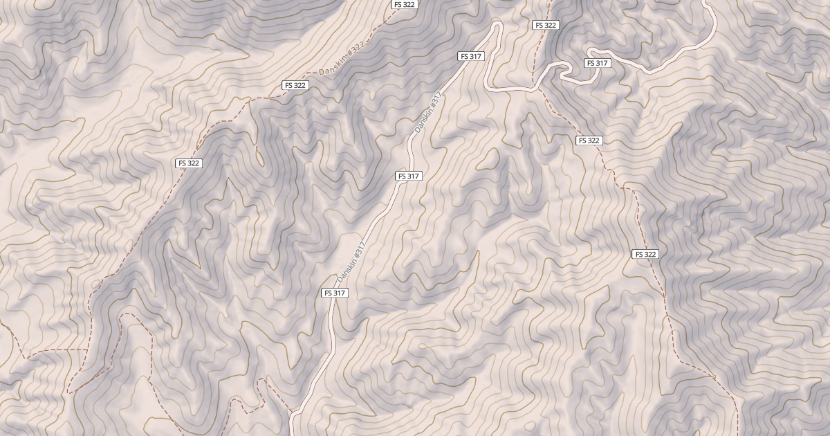 Map preview of Danskin #317